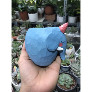Chậu thú trồng sen đá dễ thương