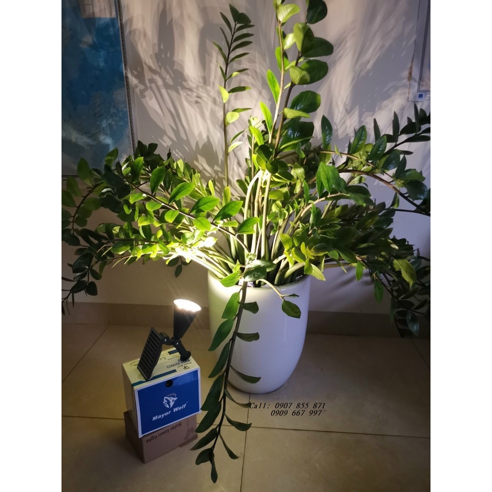 😍 Đèn cắm cỏ trang trí sân vườn MAYOR WOLF