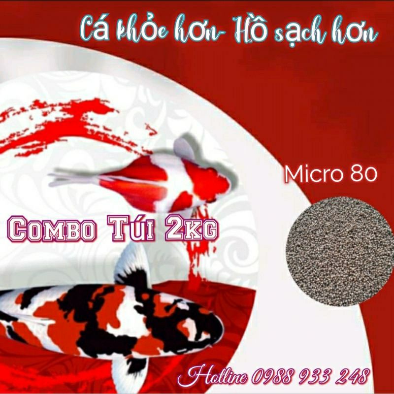 [ Combo 2Kg] Cám Micro 80 mẫu mới dành cá Goldfish, cá Ranchu, cá Betta
