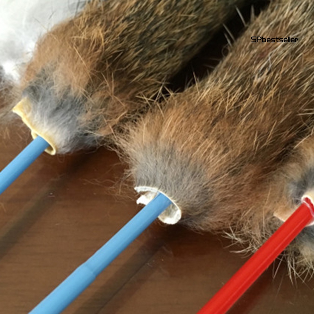 1 Cây Gậy Đồ Chơi Vui Nhộn Dành Cho Mèo