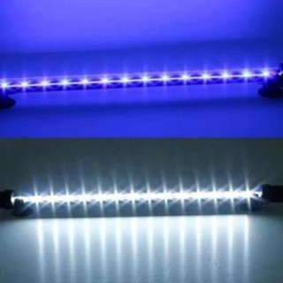 Đèn led chìm hồ cá 60cm