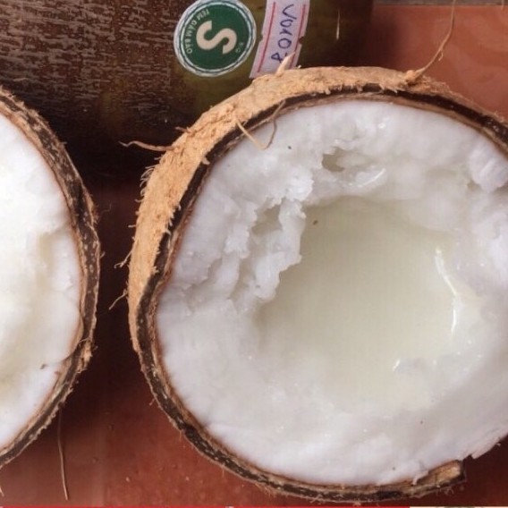 Dừa Sáp Hảo Hạng - Cơm Siêu Dày, Hàng tuyển