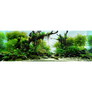 Tranh phông nền 3D VTC dán hồ cá Aqua_001