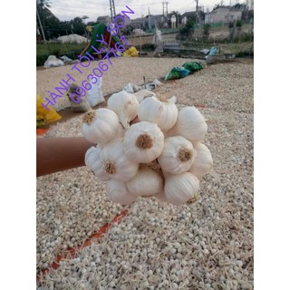 TỎI LÝ SƠN THƯỜNG LOẠI 1 (0.5 Kg)