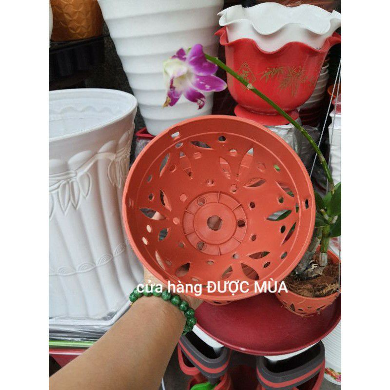 combo 5 chậu nhựa trồng lan kiểu giả đất phi 18.