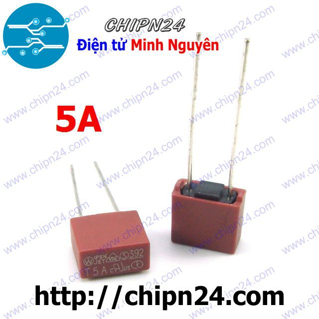 [2 CÁI] Cầu Chì Vuông 5A 250V (T5A250V)