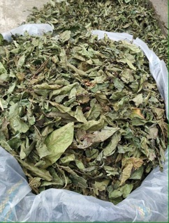Xạ Đen Hòa Bình 1KG