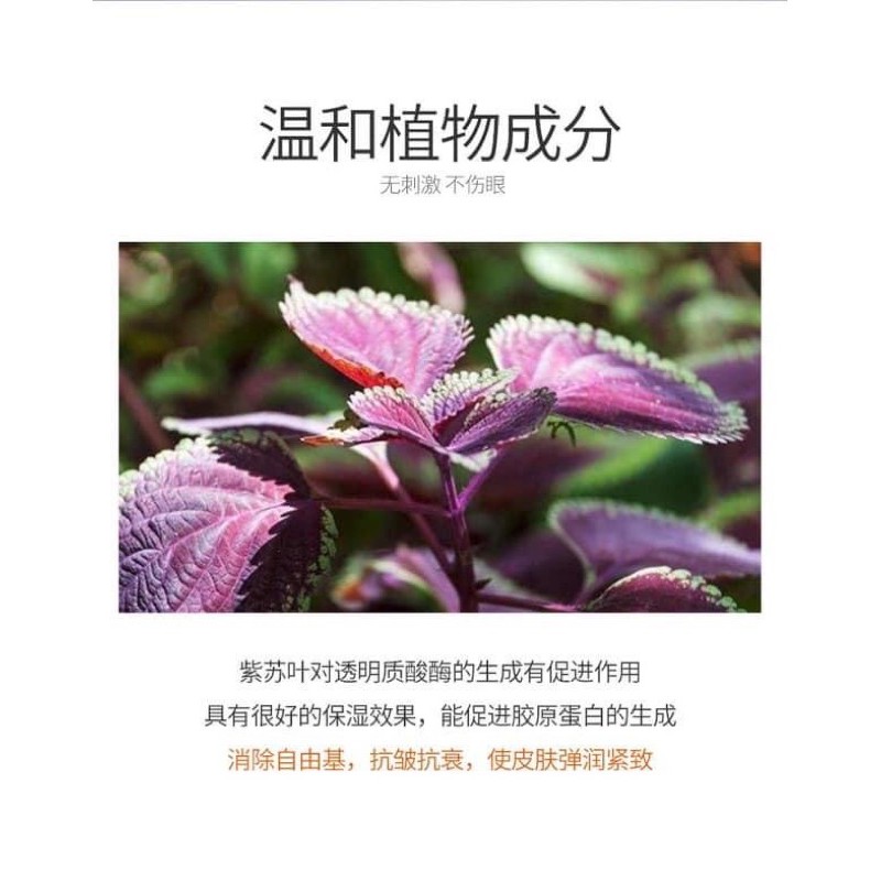 ‼️‼️Nước tẩy trang JOMTAM BEATY SKiN 300ml