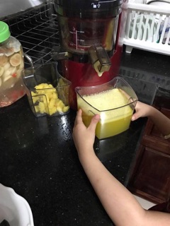 Máy ép trái cây tốc độ chậm SAVTM JE-07