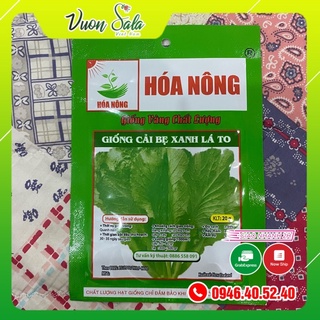 [combo 6 loại rau dễ trồng] Hạt giống rau
