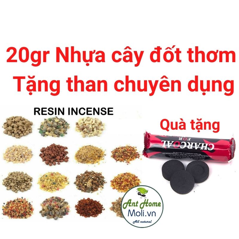 20gr nhựa cây đốt thơm thanh tẩy và bảo vệ TẶNG 10 VIÊN THAN (incense resin)