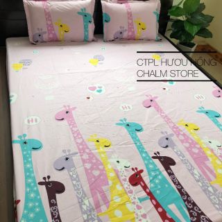 Ga gối cotton poly