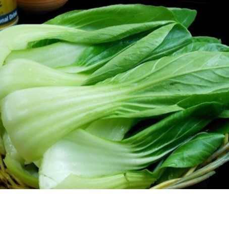 Hạt giống rau cải thìa dễ trồng kháng bệnh tốt năng suất cao [gói 200gram,500gram,1kg]