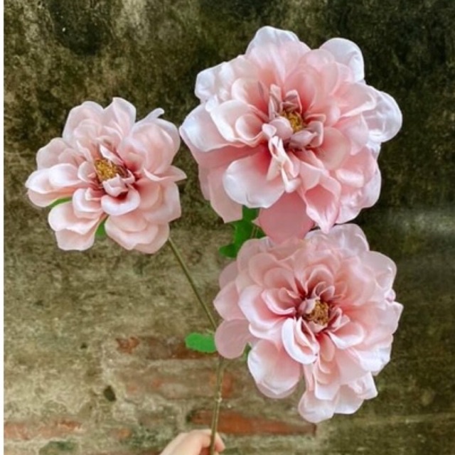 Hoa Cúc Thược Dược lụa nhập khẩu cành 3 bông nở dài 70 cm cao cấp decor siêu đẹp (shop có 2 loại)