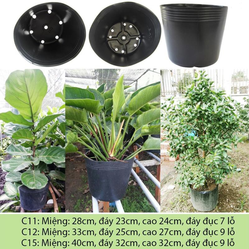 SỈ 300 Chậu nhựa PE dẻo C11 miệng cao 28x23cm trồng cây bền từ 5 đến 10 năm-77106