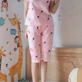 (Freeship99k) Bộ mặc nhà kate hàn