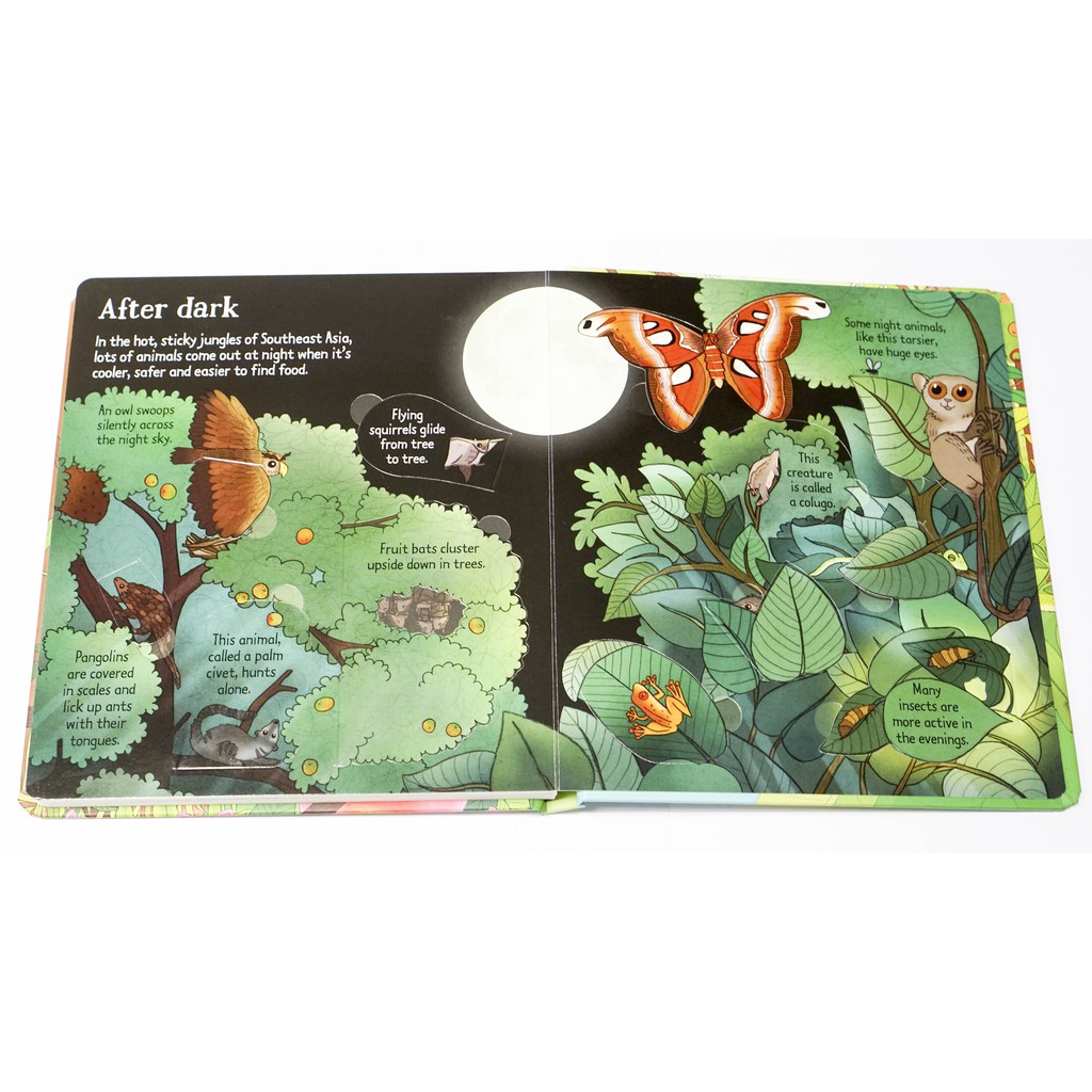 Sách lật mở Look Inside Jungle Usborne cho bé