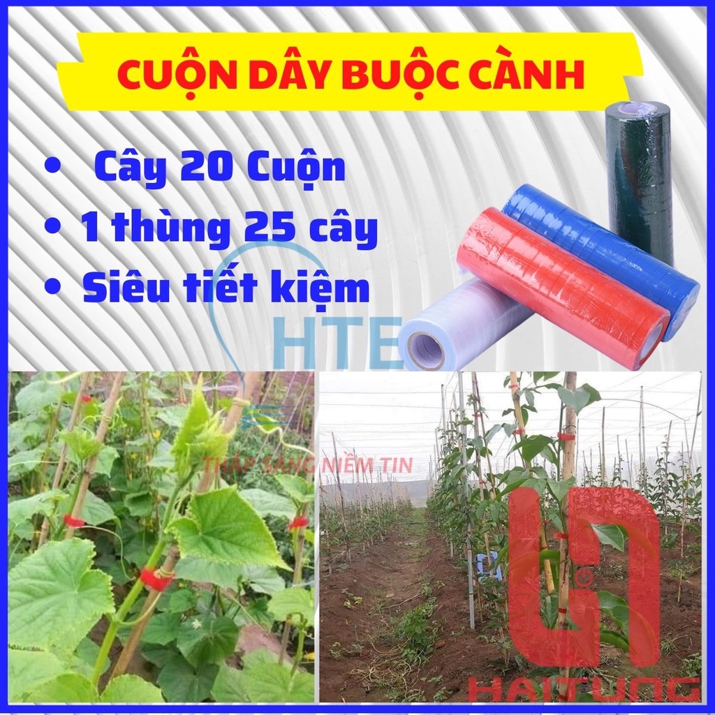 20 Cuộn Dây buộc chanh leo, CUỘN DÂY BUỘC CÀNH, DÂY NHỰA BUỘC CÀNH, BĂNG BUỘC CÀNH CÂY
