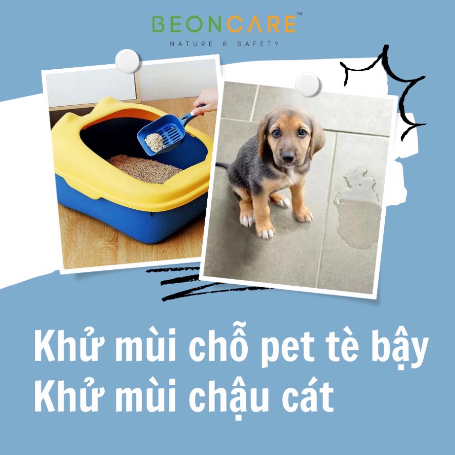 Chai Xịt khử mùi vệ sinh chó mèo Beoncare, khử mùi chậu cát, khử mùi khay vệ sinh, khử mùi nước tiểu cho pet