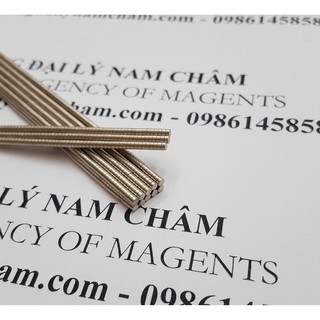 Nam châm viên trắng nhỏ 2x1mm