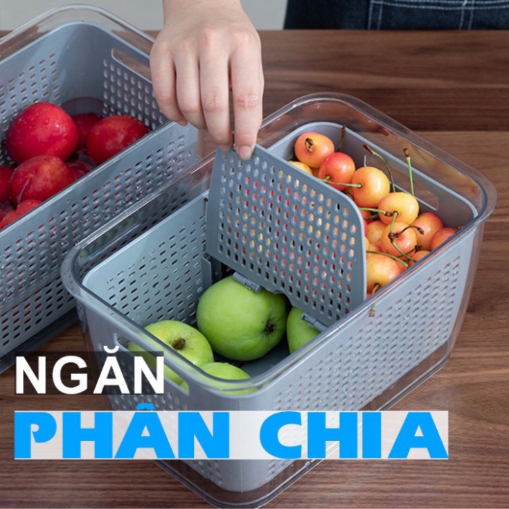 COMBO 2 Hộp Đựng Thực Phẩm Tủ Lạnh 2 Lớp Có Lỗ Thoát Nước, Có Khóa Thoát Khí, Dễ Dàng Bảo Quản Rau Củ [FREESHIP]