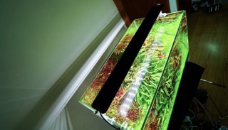 ĐÈN LED CHIHIROS A2 VERSION 2 (MODEL MỚI NHẤT 2020)