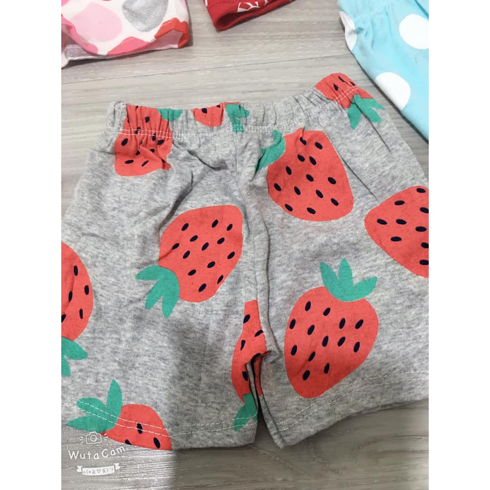 Combo 5 Quần Bozip Cho Bé Trai và Bé Gái