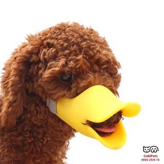 Rọ mõm chó mỏ vịt