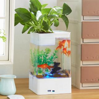 Bể Cá Cảnh Mini Tự Thay Nước Tiện Lợi