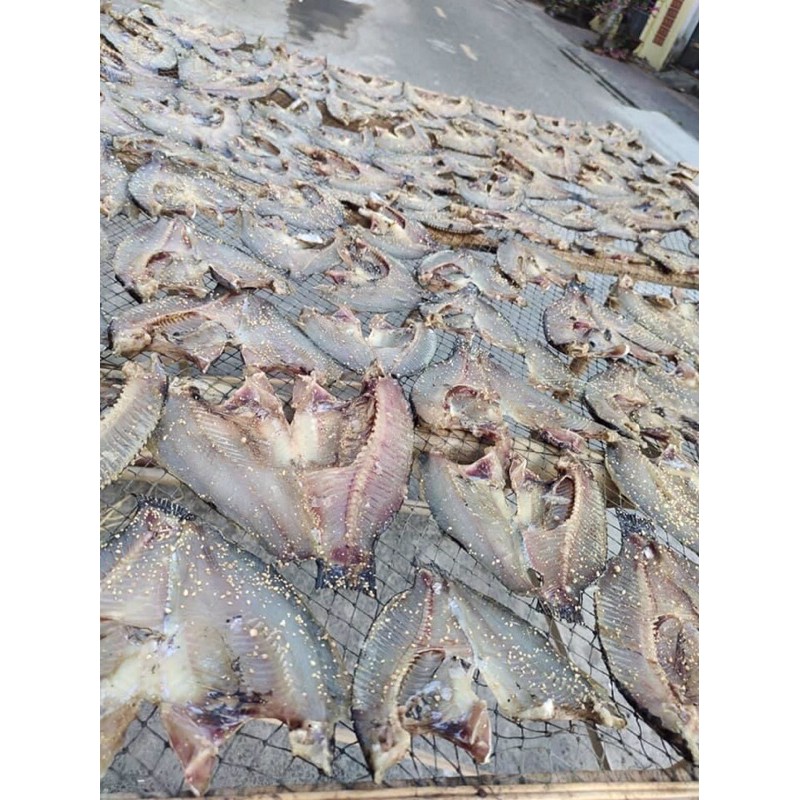 KHÔ PHI VUÔNG CHUẨN NGON 1KG