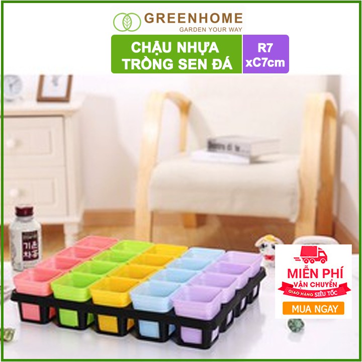 [Freeship 70K] Bộ 5 Chậu nhựa trồng sen đá ,xương rồng, 7x7cm, màu sắc hiện đại