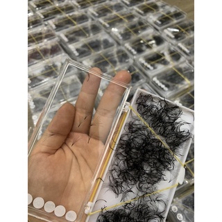 Mi fan sẵn 4D(500f,1000f)