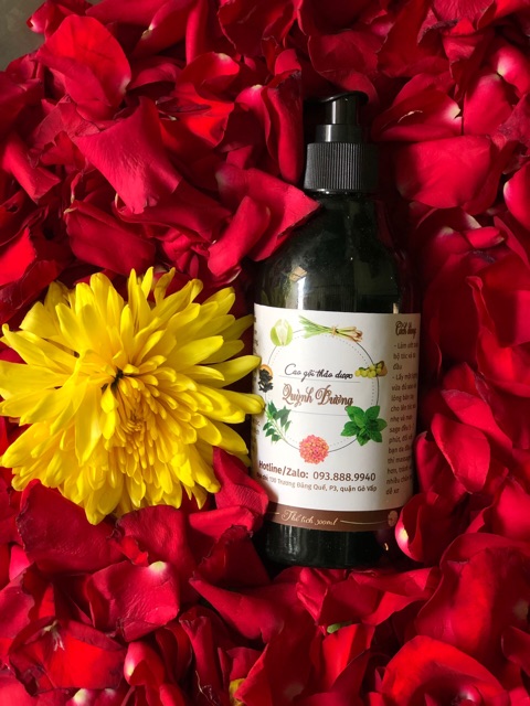 Dầu Gội Thảo Dược Bồ Kết Handmade Quỳnh Dương🌿Sạch gàu,Nấm ngứa,Ngừa rụng tóc,mọc tóc🍃 | BigBuy360 - bigbuy360.vn