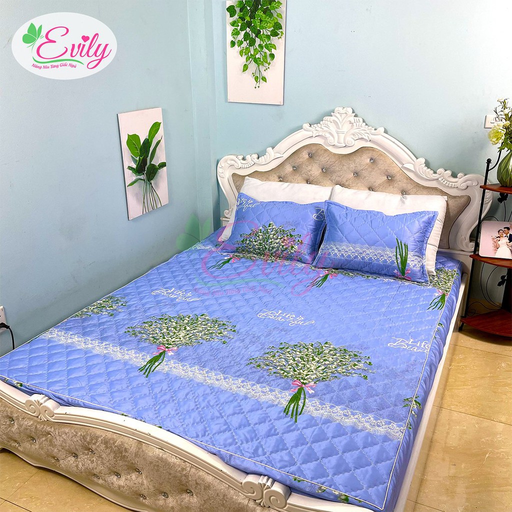 Combo 1 Ga + 2 Vỏ Gối Nằm Chun Trần Bông Cotton Poly Kích Thước M2/M6/M8/2M2 Mẫu HOA BABY