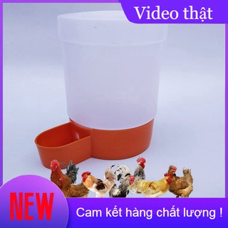 [DN123] Bình uống nước cho chim, gà , vịt, chim cút