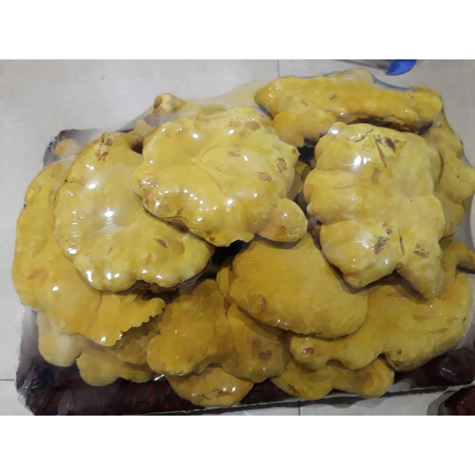 1 kg nấm thượng hoàng cao cấp Hàn Quốc
