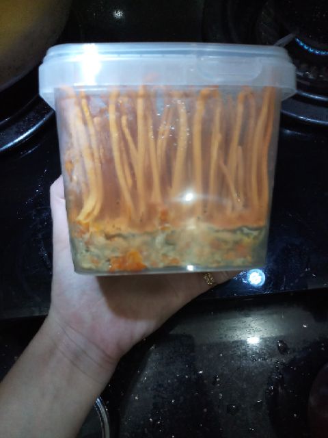 1 hộp 200 gam Đông Trùng Hạ Thảo tươi | BigBuy360 - bigbuy360.vn