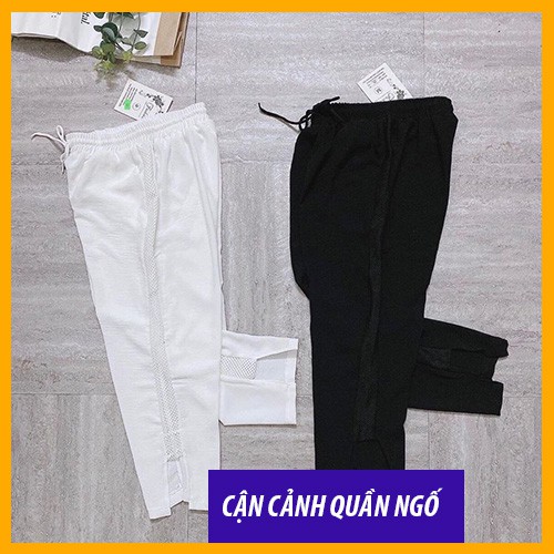 [ Mã FAMAYWA giảm 10K đơn 50K] Quần Đũi Lưới, Quần Đũi Pha Sọc Bo Chun Dài Ngố Siêu Hot Hàng Loại 1 size từ 38 đến 70kg | BigBuy360 - bigbuy360.vn