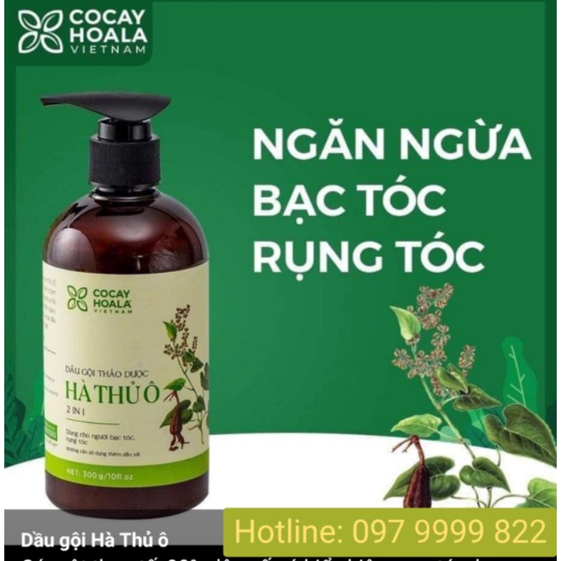 Dầu gội Hà Thủ Ô 2in1 chính hãng Cỏ Cây Hoa Lá 300ml