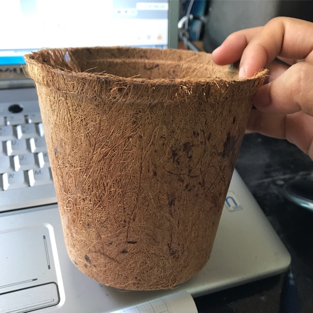 Chậu xơ dừa tròn đại AN1003 - Coir pot