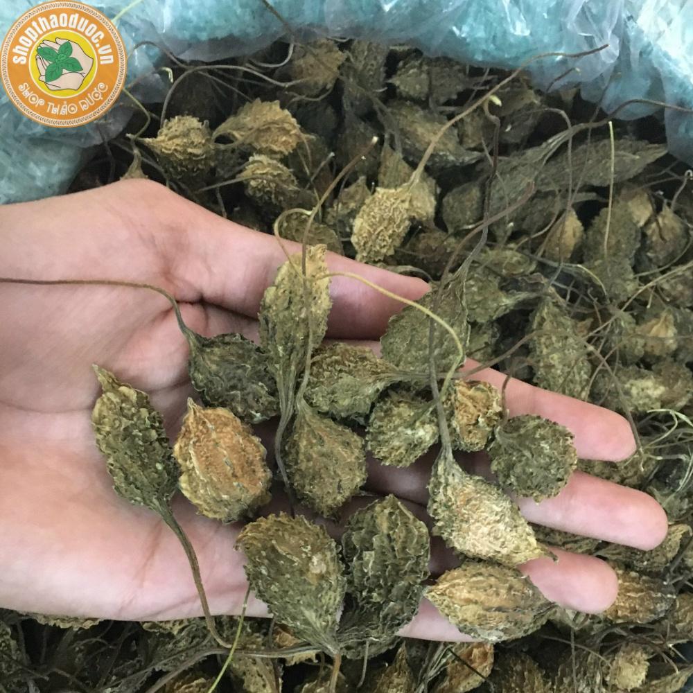 -  khổ qua rừng sấy khô gói lẻ 250g - Khổ qua rừng ổn định đường huyết và hạ mỡ máu