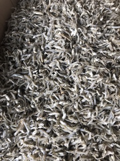 Cá cơm khô size nhỏ