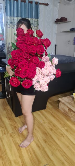 Cành hoa hồng nhung 3 bông cao cấp