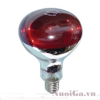 2 Bóng úm gà hồng ngoại ( 150w,175w,200w )