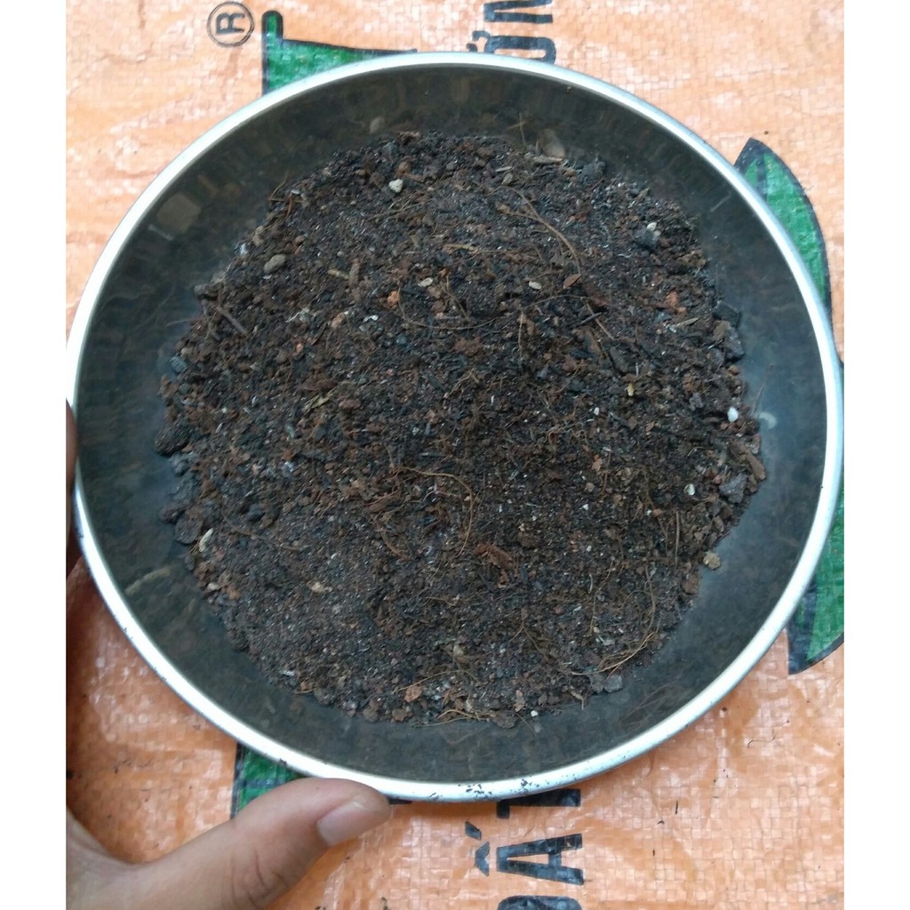 Đất trồng sen đá, xương rồng: 200 gam