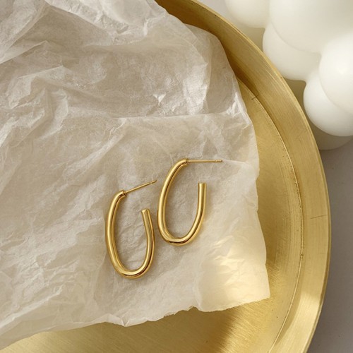 Bông Tai Nữ Hình Bầu Dục Cá Tính Titan Ko Đen TT 3426