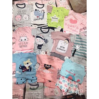 COMBO COTTON HÀN QC LOẠI 1 - TÚI ZIP
