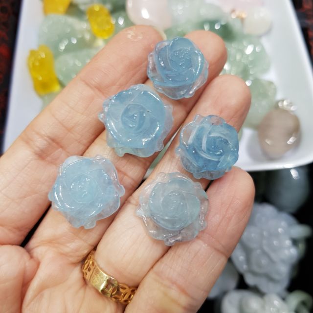 Hoa mẫu đơn đá màu xanh A.qua đẹp