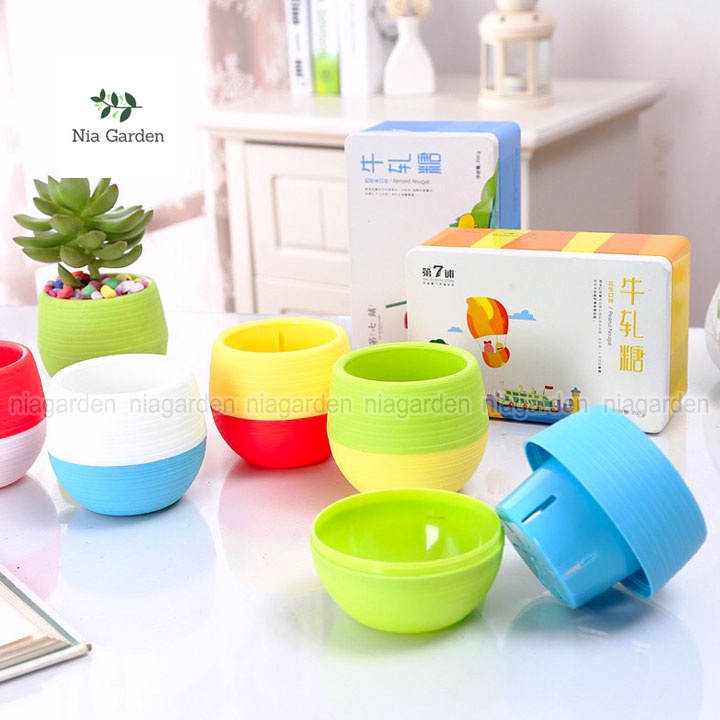 Chậu nhựa trồng sen đá xương rồng cây để bàn mini tròn 2 màu Nia Garden N8