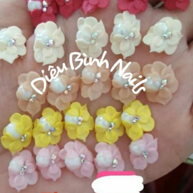 Hoa bột - Cúc
